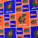 Florida Gators Throw top