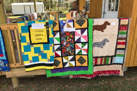 Spring 2017 Quilt Show