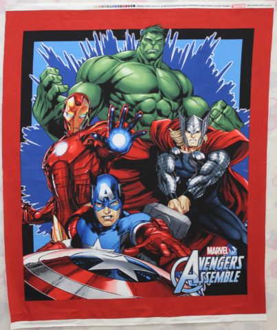 Avengers Panel