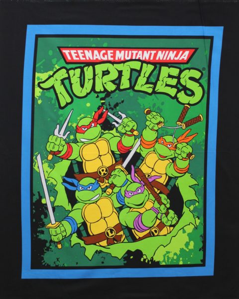 Teenage Mutant Ninja Turtles Panel