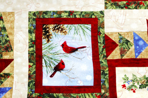 Ann’s Christmas Card Quilt