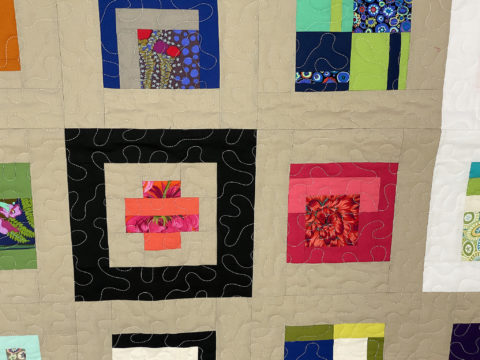 Diane’s Tula Pink Modern Sampler Quilt