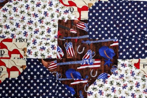 Angela’s State of Texas Quilt