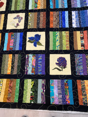 Flowers and Butterflies Strip Quilt