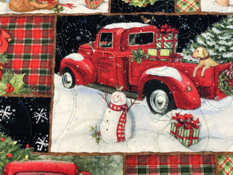 Red Truck Christmas Throw by Ann