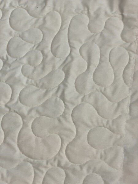 Ann’s Colors of Fall Quilt