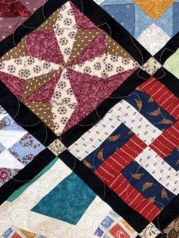Farmer’s Wife Quilt by JoAnne Scafidi - quilting detail