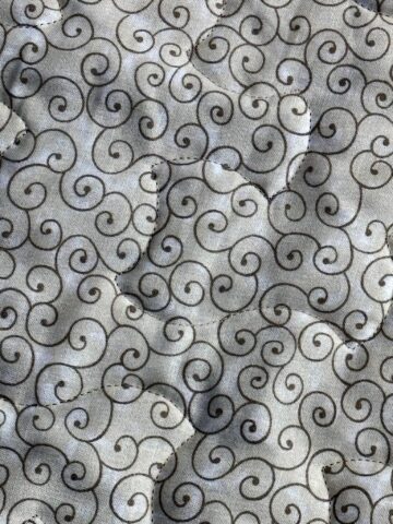 Farmer’s Wife Quilt by JoAnne Scafidi - quilting detail